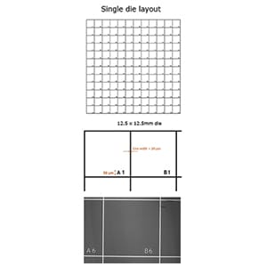 EM-Tec FG-1 Silicon Finder Grid Substrate with 144 fields of 1x1mm - Image 2