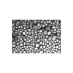 High Resolution Au-C Test on ISI Stub