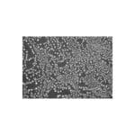 Ultra High Resolution Au-C Test on ISI Stub