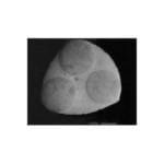 BSE Reference, Nickel (Z=28)/Copper (Z=29)