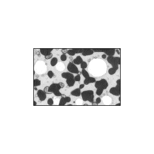 Evaporated Platinum/Iridium