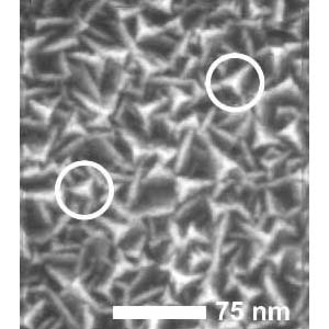 AFM SPM NioProbe Calibration