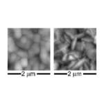 AFM/SPM Tipcheck Calibration