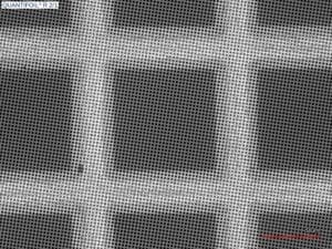 Quantifoil R2/1