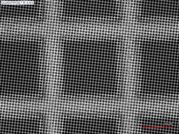 Quantifoil R3.5/1