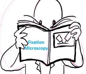 Electron Microscope Fixatives