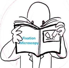 Electron Microscope Fixatives