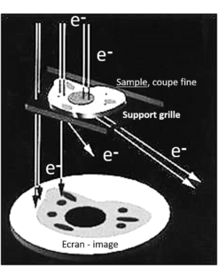 Electron Microscopy Grids: General
