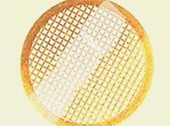 My ultra-thin sections do not adhere to the grid? solutions!