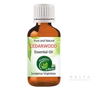 Cedar Wood Oil Cedar Wood Oil