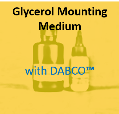 Glycerol Mounting Medium with DABCO