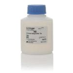 Universal Immunoassay Buffer