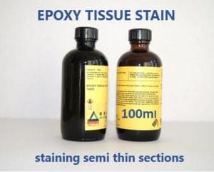Epoxy Tissue Staining Semi thin sections.
