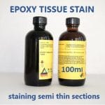 Epoxy Tissue Staining Semi thin sections.