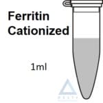 Ferritin Cationized