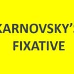 Karnovsky's Fixative