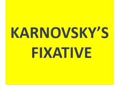 Karnovsky's Fixative
