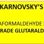 Karnovsky's with paraformaldehyde solution and EM grade glutaraldehyde