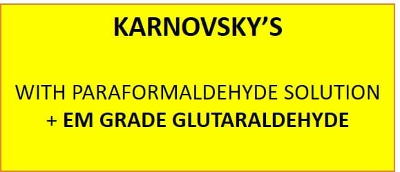Karnovsky's with paraformaldehyde solution and EM grade glutaraldehyde