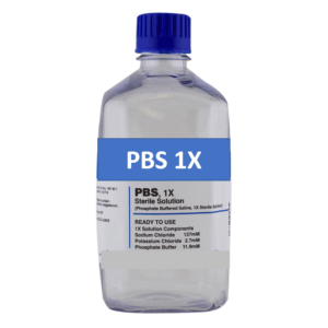 Phosphate Buffer Saline (PBS) Phosphate Buffer Saline (PBS)