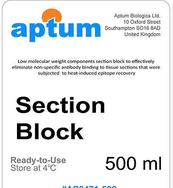Section Block Retriever