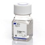 Poly-L-Lysine Hydrobromide 70,000-150,000