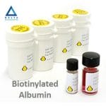 Biotinylated Albumin
