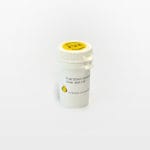 F(ab) Fragment of Goat-anti-Rabbit IgG (H&L)