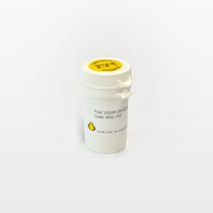 F(ab) Fragment of Goat-anti-Rabbit IgG (H&L) F(ab) Fragment of Goat-anti-Rabbit IgG (H&L)