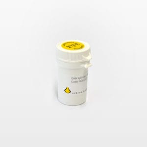 Goat-anti-Mouse IgG (H&L)