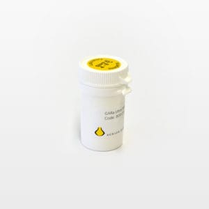 Goat-anti-Rat IgG (H&L)