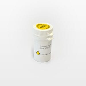 Protein A