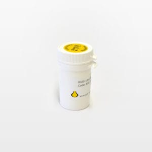 Rabbit-anti-Sheep IgG (H&L)