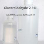Glutaraldehyde 2.5% in 0.1M Phosphate Buffer, pH 7.4