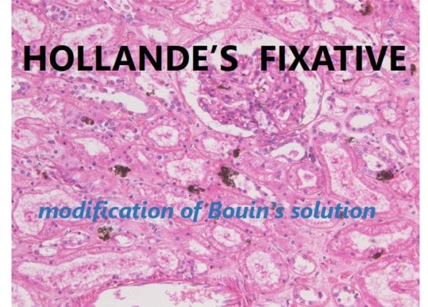Hollande's Fixative - Bulk packaging