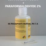 Glutaraldehyde + 2% Paraformaldehyde 2% in Phosphate Buffer, pH 7.4