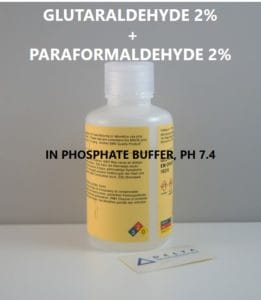 Glutaraldehyde + 2% Paraformaldehyde 2% in Phosphate Buffer, pH 7.4 Glutaraldehyde + 2% Paraformaldehyde 2% in Phosphate Buffer, pH 7.4