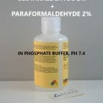 Glutaraldehyde + 2% Paraformaldehyde 2% in Phosphate Buffer, pH 7.4