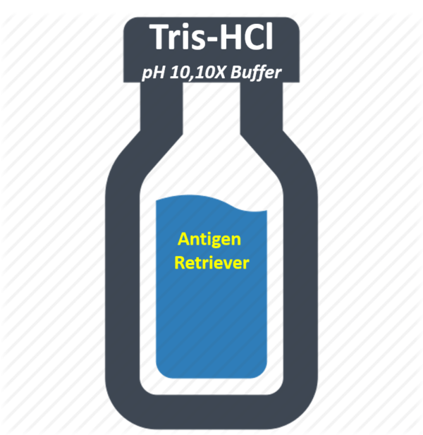 Tris HCl Buffer, pH 10.0 (10x)