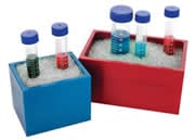 Microbead Chambers
