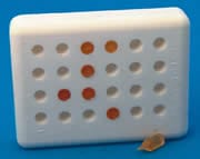 The Cell Culture Mold