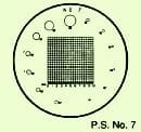 Scale N°1, For Measuring Magnifiers