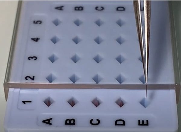 Grid storage box for 50 TEM grids full antistatic material