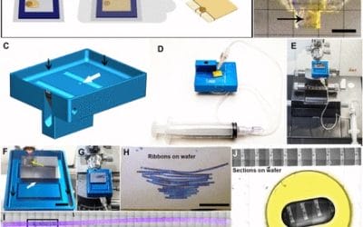 A targeted 3D EM and correlative microscopy method using SEM array tomography
