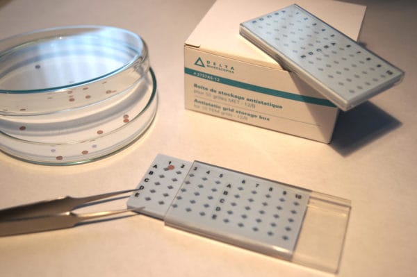 Grid storage box for 50 TEM grids full antistatic material