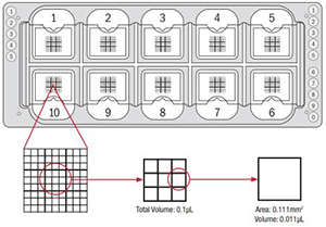 Quick-Read™ Microscope Slide