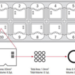 Quick-Read™ Microscope Slide