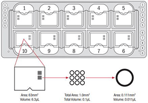 Quick-Read™ Microscope Slide