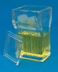 Vertical Staining Jar w/Glass Lid