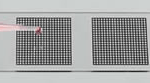 Microscope Slide-Grids